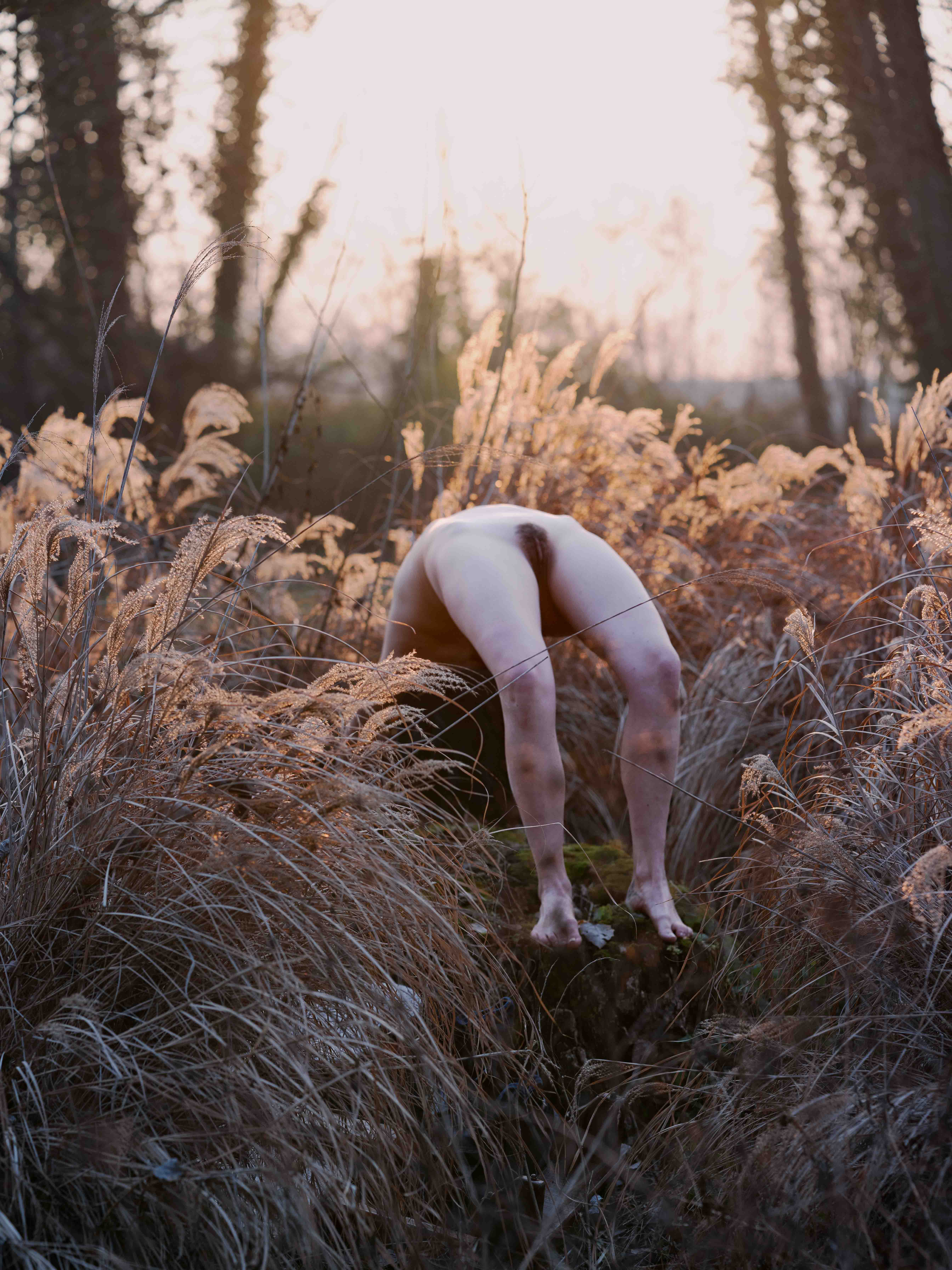 Dintorni N.00 Asterismi, Riccardo Cappelletto.