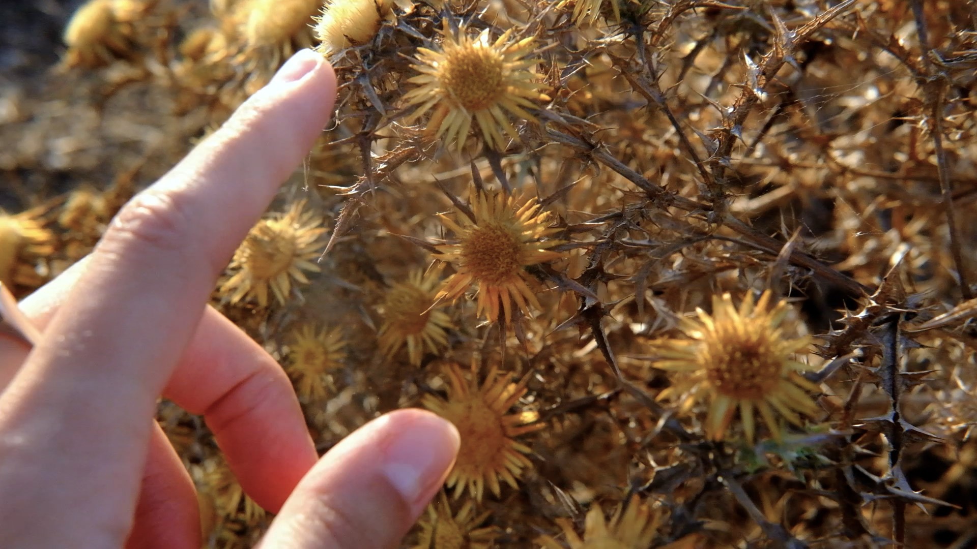 Tessa Mars, "A call to the ocean" (2025). Foto di: Lucrezia Ceselin.