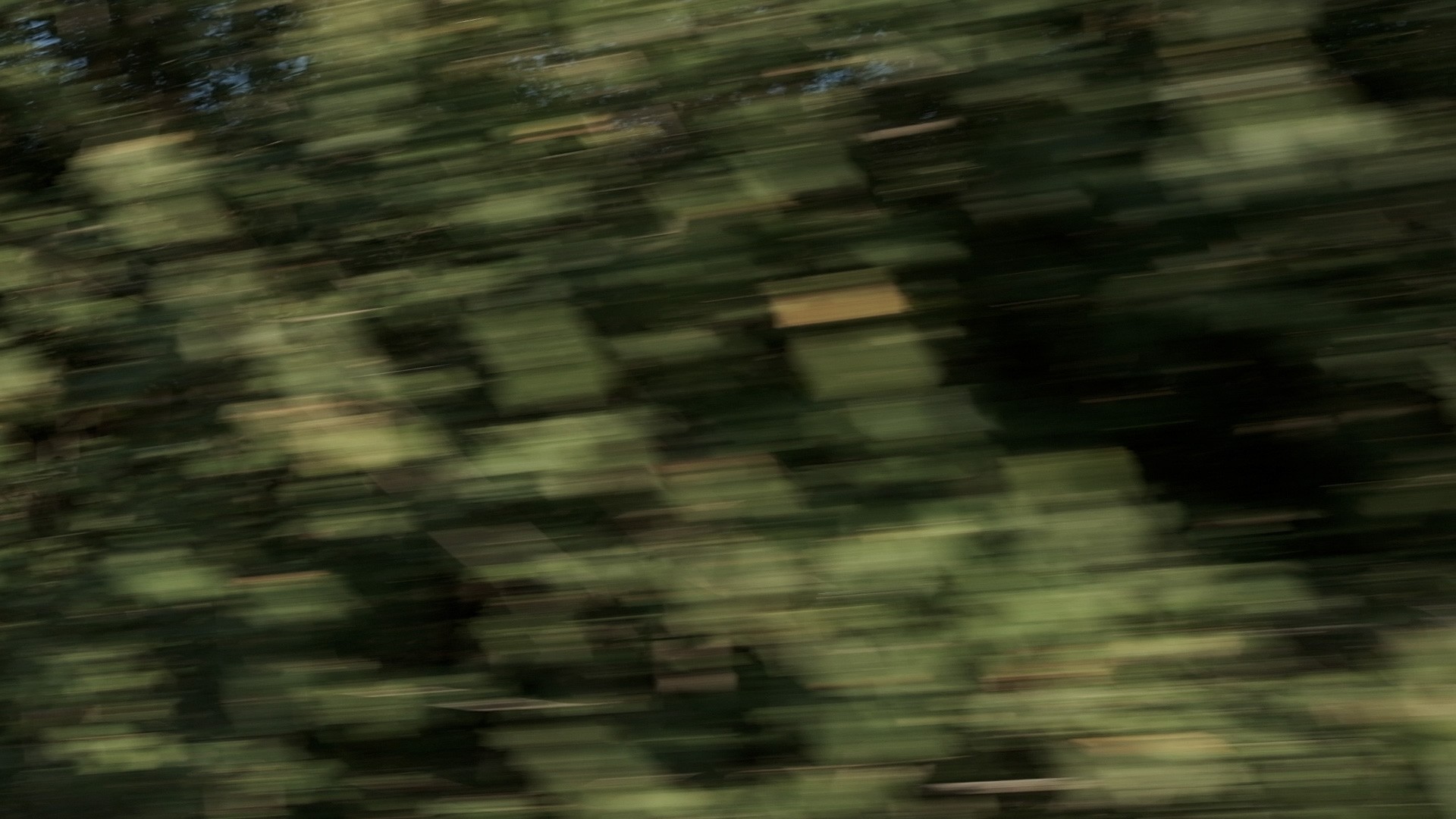 Dintorni N.00 Asterismi, Ines Bortoletto.