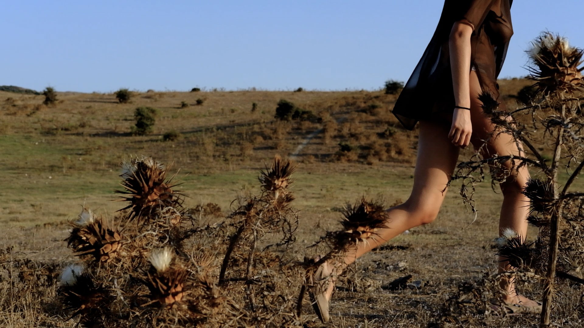 Dintorni n.00 asterismi