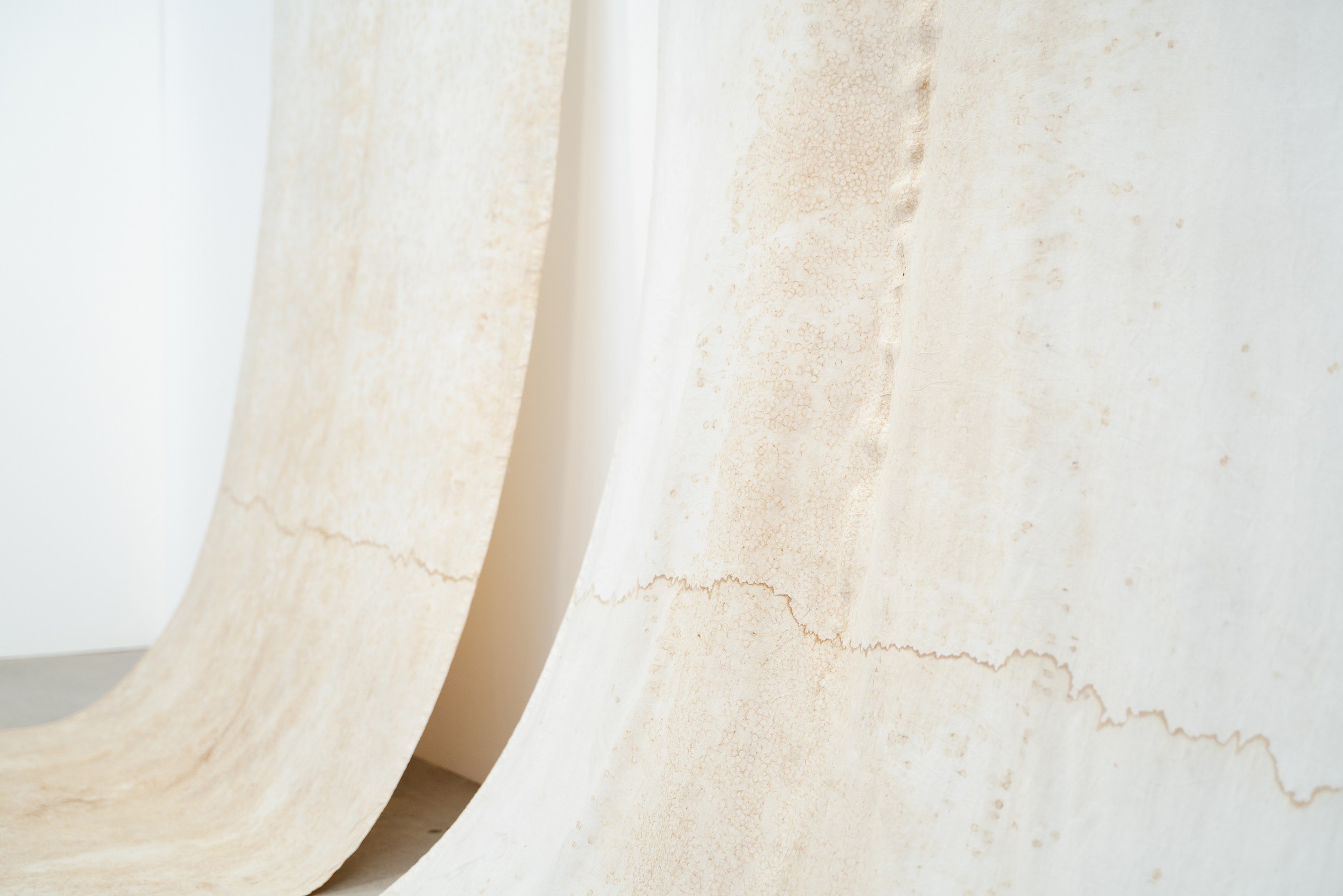 Interno degli spazi di Ocean Space