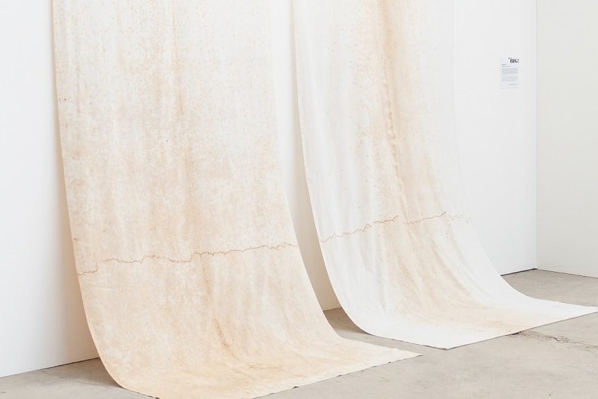 Visitatori della mostra, foto di: Lucrezia Ceselin